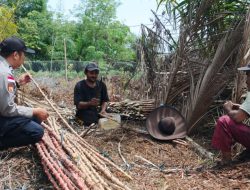 Bhabinkamtibmas Desa Bantan Timur Dukung Penanaman Ubi Kayu Warga