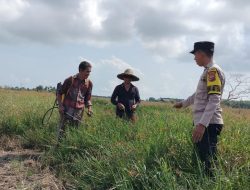 Bhabinkamtibmas Desa Mentayan Gerak Cepat Sambangi Petani Padi Dukung Ketahanan Pangan
