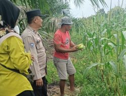 Bhabinkamtibmas Desa Jangkang Sambangi Petani Jagung, Dukung Program Ketahanan Pangan