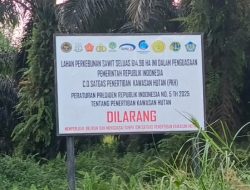 ​Diduga Kebun Sawit H. Abdul Basid di Kumai Hulu: Plang Perpres Penertiban Hutan Terpampang, Hak Plasma Warga Malah Dikencingi Janji Manis
