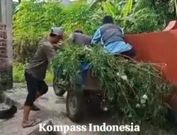 Warga Parabon RW 03 Kompak Gelar Jumsih, Lingkungan Bersih dan Sehat Jadi Prioritas