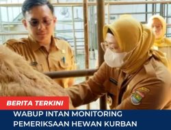 Wabup Intan Monitoring Pemeriksaan Hewan Kurban Jelang Hari Raya Idul Adha 1447 H