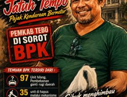 Aktivis Kabupaten Tebo Jambi Soroti Temuan BPK, 503 Kendaraan Dinas Tidak Bayar Pajak