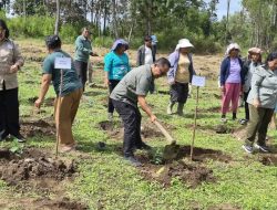 Pemkab Taput Melakukan Kegiatan Tanam Serentak Pada Program Hilirisasi Perkebunan di Desa Siborongborong III