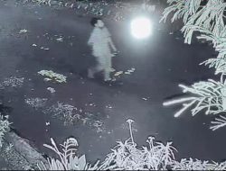 Aksi Curanmor Berakhir Ditangkap Polisi, Pelaku Tak Berkutik Usai CCTV Jadi Bukti Kunci
