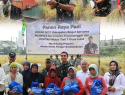Akselerasi Swasembada Pangan, Dandim Bogor Sukses Gelar Panen Raya 25 Hektare 