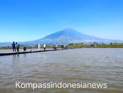 Viral di Garut, Sawah Rancamaya Berubah Bak Danau Kecil dengan Latar Gunung Cikuray, Pengunjung Berdatangan dari Luar Kota