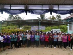 Launching Pilot Project Posyandu 6 SPM di Desa Bonan Dolok II