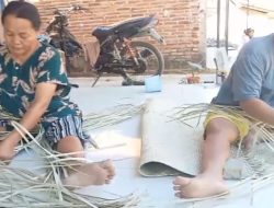 Pengrajin Tikar Pandan Dusun Mawangi Lestarikan Warisan Budaya yang Berakar dari Kisah Babad Banyumas Namun Tak Dilirik Oleh Pihak Dinas Terkait Di Banjarnegara