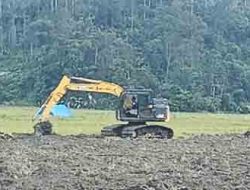 Pascabencana di Humbahas, Pemulihan Lahan Pertanian Dimulai