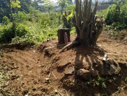 40 Tahunan Tanah Atas Hak Seorang Waga Kelurahan Sapuran, Dikuasai Dan Diklaim Pihak Muhamadiyah Cabang Sapuran Wonosobo Tanpa Dokumen Yang Sah