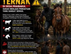 Maraknya Dugaan Pencurian Ternak di Desa Praibakul, Warga Minta Aparat Bertindak Tegas