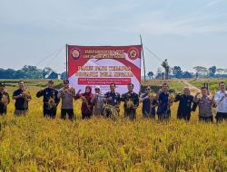 Hasil Panen Terapan Organik Bela Negara Demplot di Kelurahan Bejen Kab. Karanganyar capai 8,1 Ton per Hektar