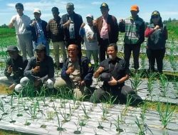 Kementan Dorong Kabupaten Humbang Hasundutan Jadi Pusat Pengembangan Benih dan Swasembada Bawang Putih Nasional
