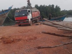 Diduga Kayu Ilegal Masuk Tanjung Gundap melalui Pelabuhan Tikus, Aparat Diminta Bertindak