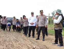 Wujudkan Swasembada Pangan Nasional, Bupati Samosir Bersama Kapolda Sumut Tinjau Lokasi Penanaman Bawang Putih di Kecamatan Simanindo