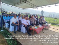 17 Provinsi Bergerak, Wonosobo Jadi Bagian Gerakan Nasional Bawang Putih