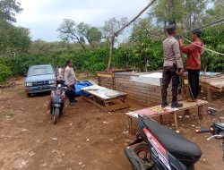 Polsek Pajar Bulan Tertibkan Arena Sabung Ayam, Cegah Perjudian di Desa Pajar Tinggi