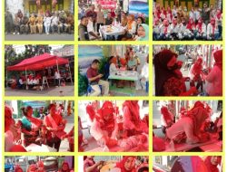 Semarak Dirgahayu RI ke-81, Nuansa Merah Putih Warnai Pemeriksaan Posyandu, Posbindu dan Lansia RW 02 Jembatan Besi