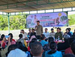 Bupati Humbahas, Petani Jangan Ragu Pengembangan Budidaya Bawang Putih.
