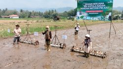 Dukung Ketahanan Pangan Nasional, Sleman Lakukan Tanam Padi Dengan Cara Metode PM-AAS