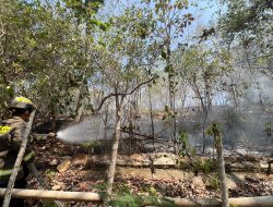 Lahan Milik Pemda Di Bongohulawa Terbakar, Dit Samapta Bersama Tim Gabungan Berhasil Padamkan Api