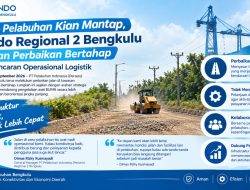 Jalan Pelabuhan Mulai Dibenahi, Pelindo Regional 2 Bengkulu Pastikan Logistik Tetap Lancar