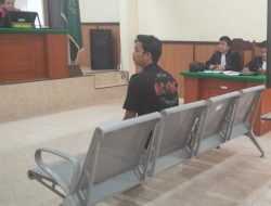 Tersangka Kasus Babi Ilegal di Nias Jalani Sidang Perdana