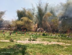 Bakar Sampah Sembarangan, Puluhan Batang Pohon Bambu Ludes Dilalap Sijago Merah