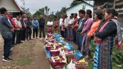 Pemerintah Kabupaten Taput Melalui Tim Reaksi bergerak Cepat Meninjau Lokasi Bencana Angin Puting Beliung di Desa Siabal Abal V Kecamatan Sipahutar.