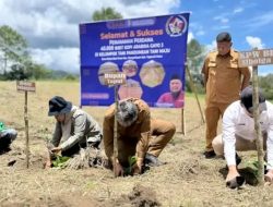 Pemkab Taput Apresiasi Penanaman Perdana 40 Ribu Bibit Kopi Arabika di Desa Rahut Bosi Onan