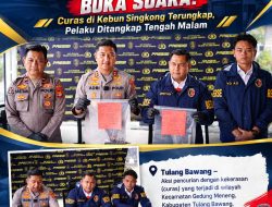 Kasat Reskrim Polres Tulang Bawang Buka Suara! Curas di Kebun Singkong Terungkap, Pelaku Ditangkap Tengah Malam
