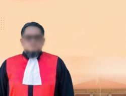 Dinilai janggal, 3 Putusan bebas yang diadili oleh Wakil Ketua Pengadilan Negeri (PN) Sintang dikritisi oleh Ahli Pidana, Praktisi Hukum & Pemerhati lingkungan dan konservasi satwa liar.