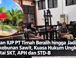 Lahan IUP PT Timah Beralih hingga Jadi Perkebunan Sawit, Kuasa Hukum Ungkap Rantai SKT, APH dan STD-B