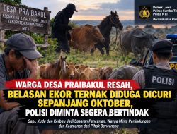 Warga Desa Praibakul Resah, Belasan Ekor Ternak Diduga Dicuri Sepanjang Oktober, Polisi Diminta Segera Bertindak