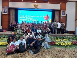 DPKP DIY, Perkuat Kemitraan Antara Petani Jagung dan Peternak Ayam Petelur
