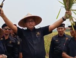 Ketua Harian DPP Partai Ummat Heikal Safar Panen Raya Sekaligus Makan Siang Gratis Bersama Ratusan Petani Guna Ketahanan Pangan Nasional