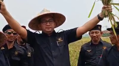 Ketua Harian DPP Partai Ummat Heikal Safar Panen Raya Sekaligus Makan Siang Gratis Bersama Ratusan Petani Guna Ketahanan Pangan Nasional