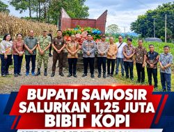 Bupati Samosir Salurkan 1,25 Juta Bibit Kopi kepada 245 Kelompok Tani di 9 kecamatan