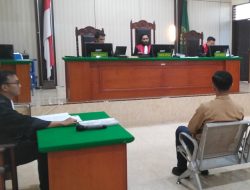 Sidang Lanjutan Perkara Babi Ilegal di Nias, Saksi Ahli: Terdakwa Abaikan Dokumen Karantina, Terancam Pidana.